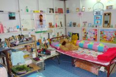 หอพัก ห้องเช่า ห้องพัก