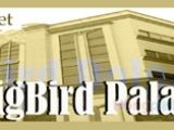 BigBird Palace 8/8