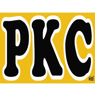PKC living Condo(แอร์ทุกห้อง)