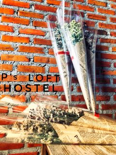 P’loft Hostel