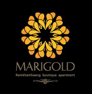Marigold Boutiqur Apartment